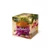 FeelingOK - Mini Protein Panettone - Natúr - 90g - Ünnepi kiadás